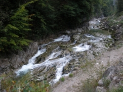 P9190326
